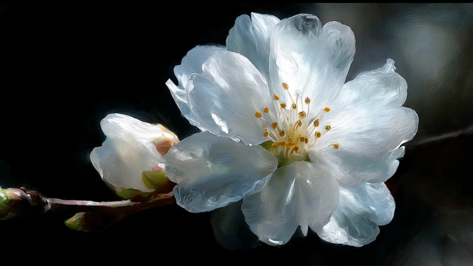 Sora 2 - OpenAI's Revolutionary AI Video Generation Model